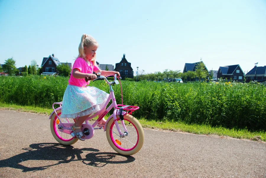 Volare Excellent Kinderfiets – Meisjes – 16 inch – Zwart – 95% afgemonteerd — foto 17