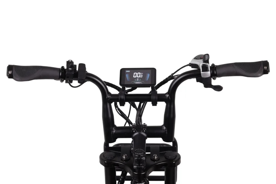 Altec Arion E-Bike Fatbike 20inch 624Wh Black *Accu 800089 — foto 2