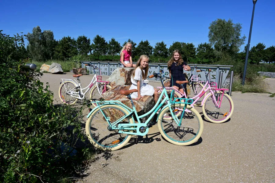 Volare Excellent Kinderfiets – Meisjes – 26 inch – Groen – 3 versnellingen — foto 16