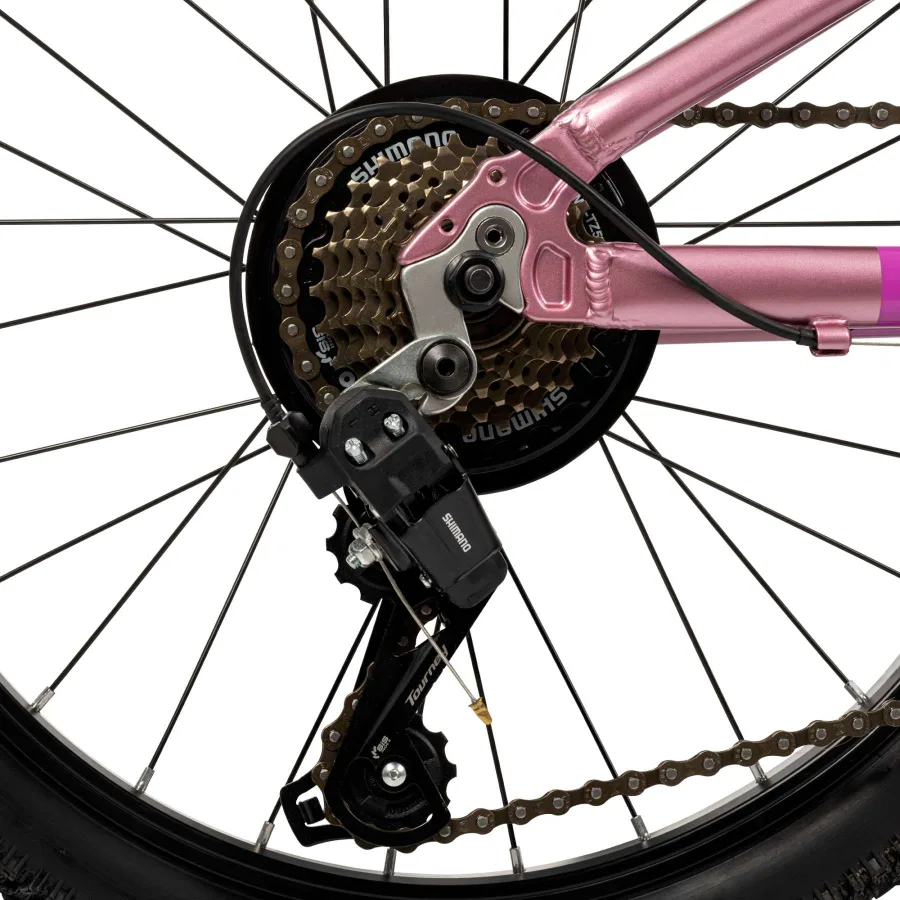 Literide Kinderfiets – Meisjes – 20 inch – Paars/Roze – Twee handremmen — foto 2