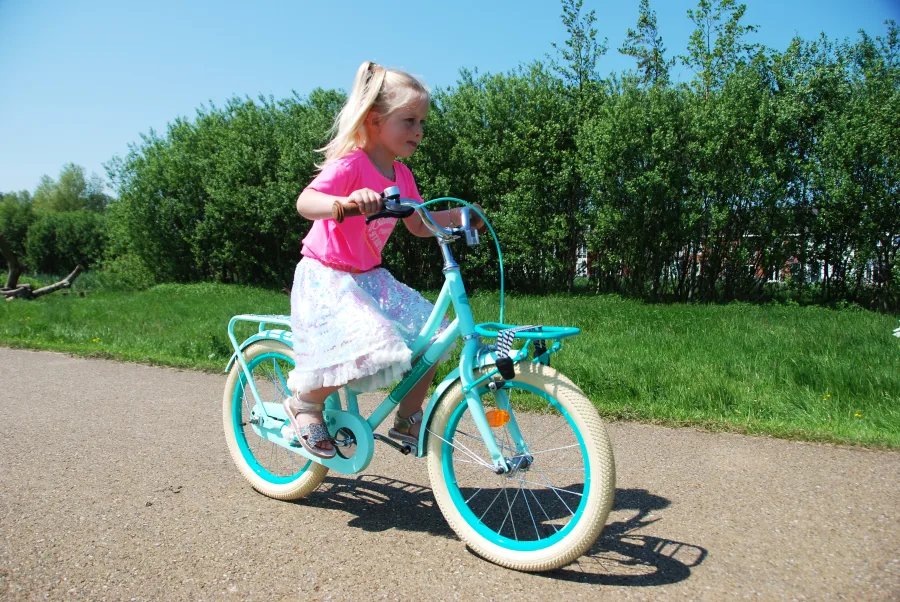 Volare Excellent Kinderfiets – Meisjes – 20 inch – Zwart — foto 16