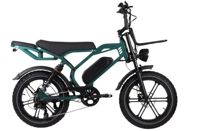 Altec Arion E-Bike Fatbike 20inch 624Wh Green *Accu 800089