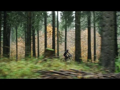 Aandrijfriem Gates CDC Carbon Drive 122T zwart — foto 9
